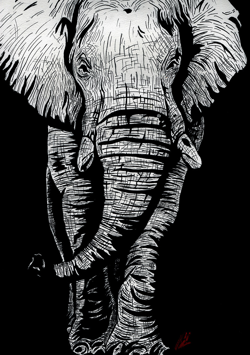 Dessins Manon Knasko